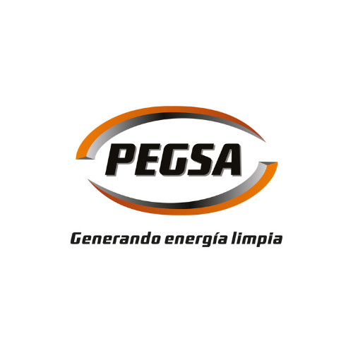 PEGSA LTDA